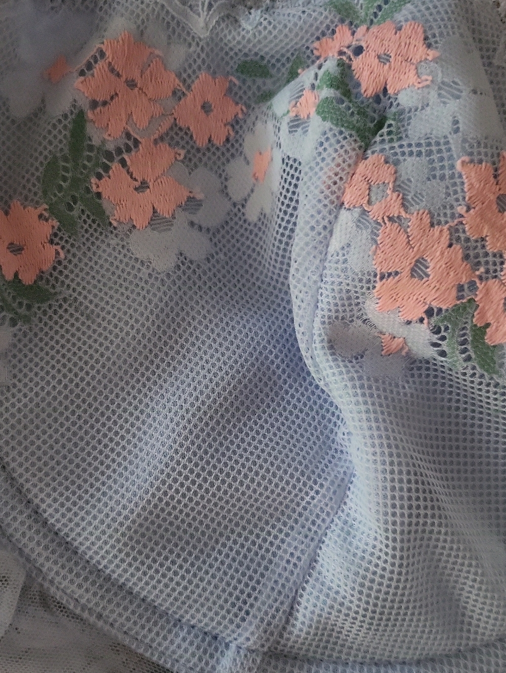 Auden Pale Blue Longline Floral Lace Bralette with Pink Embroidery - Picture 3 of 8